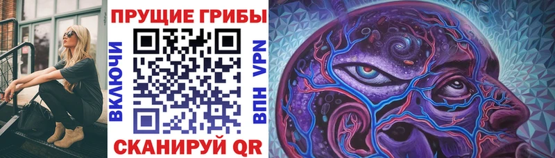 ссылка на мегу tor  Новоаннинский  Галлюциногенные грибы MAGIC MUSHROOMS 